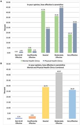 Safety Net Provider Attitudes Toward Smoking Cessation Treatment